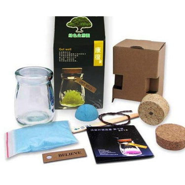 Magic Crystal Growing Jar Kit (Various Colors And Messages)